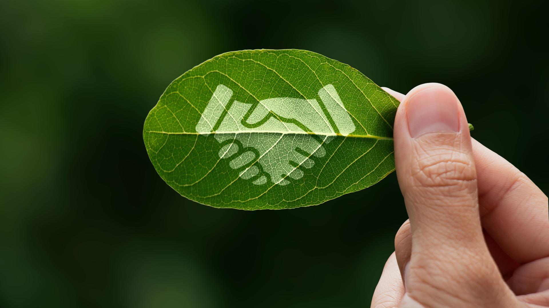 Eine Person hält ein grünes Blatt in die Kamera. Auf dem Blatt ist eine Grafik von zwei ineinandergreifenden Händen zu sehen.