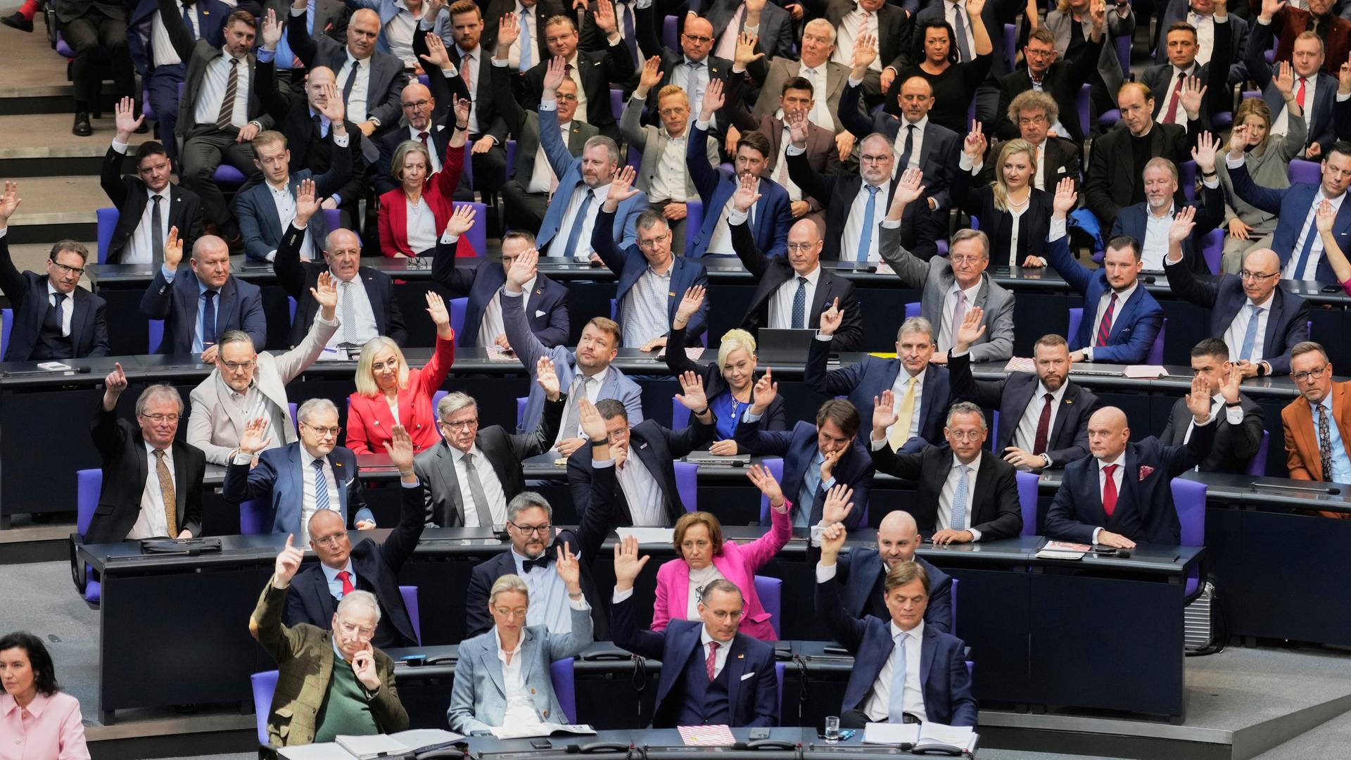 Die Abgeordneten der AfD stimmen im Bundestag ab. 
