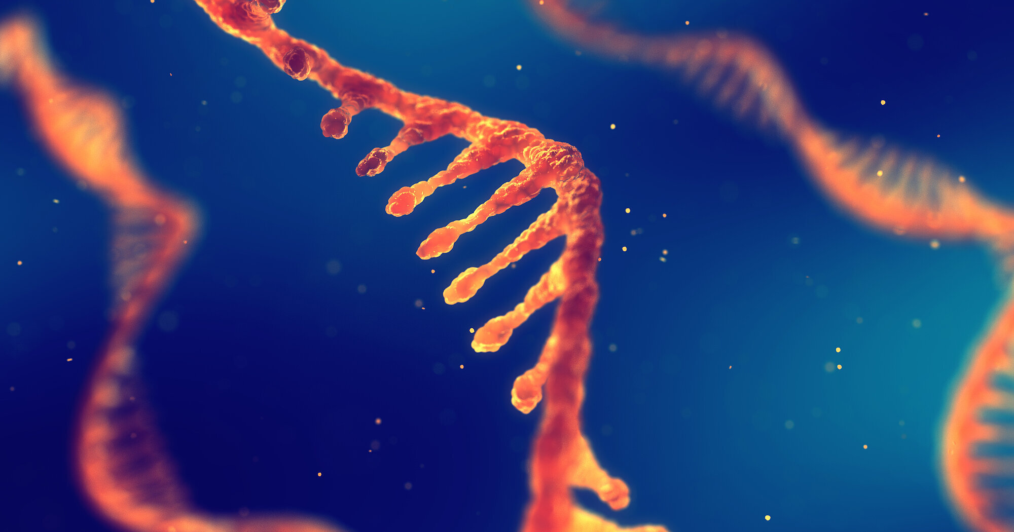 Illustration eines RNA-Strangs