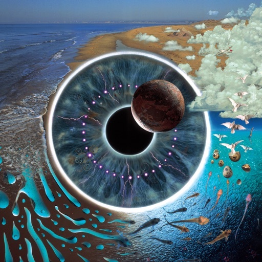 Image for Comfortably Numb (Live) by Pink Floyd