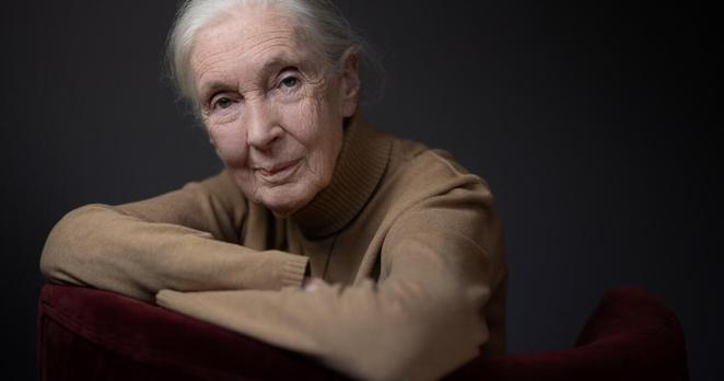 British ethologist and primatologist Jane Goodall poses during a photo session on October 18, 2024 in Paris. (Photo by JOEL SAGET / AFP) (Photo by JOEL SAGET/AFP via Getty Images)
