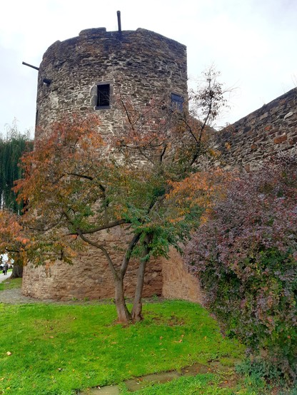 Herbstliche Sträucher vor einem steinernen Turm und einer Stadtmauer