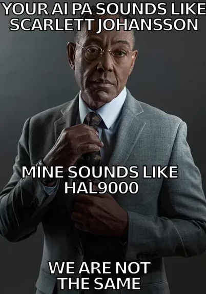 we are not the same meme 
shos breaking bad series character gus frings wearing suit adjusting his tie

text: yourr ai pa sounds like scarlett johansson

mine sounds like hal9000

we are not the same