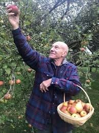 Patrick Steward pflückt Äpfel