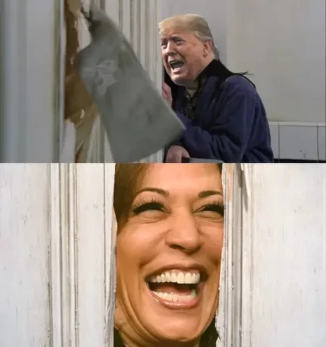 the shining meme shows 2 pictures
pic1: woman intimidated cowering in a corner while a axe hits through the wall next to her; the woman is trump

pic2 a demonic grinning man (nicholson) looking through the gap caused by the prior axe hit; here a laughing harris