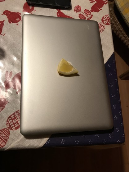 Siberner Laptop mit einer Zitrone auf dem Deckel