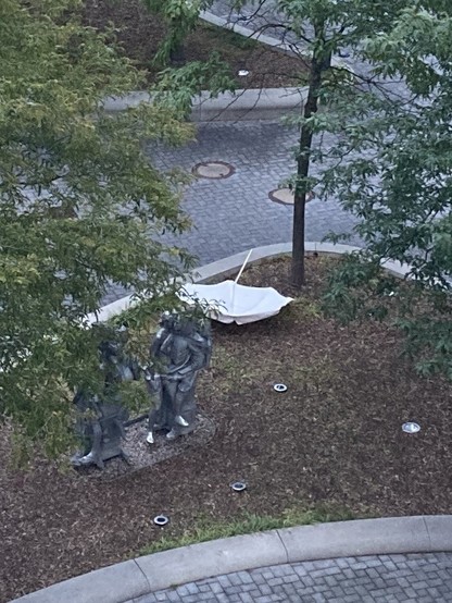 Auf einer öffentlichen Grünfläche, neben einem Baum liegt ein aufgespannter, weißer Sonnenschirm.