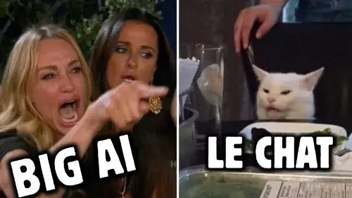 woman yelling at cat meme
woman in wrath labeled "big ai" points and yells at cat labeled "lechat"

non french speakers read here: le chat is not only the name of the new mistral app; le chat in french literally means "the cat"