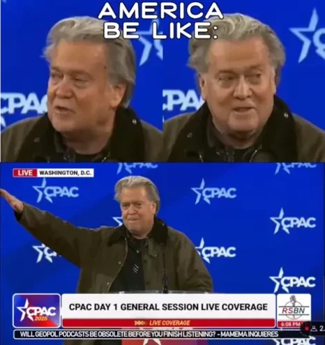 bannon looking right, bannon looking left, bannon doing nazi salute

title: "america be like:"