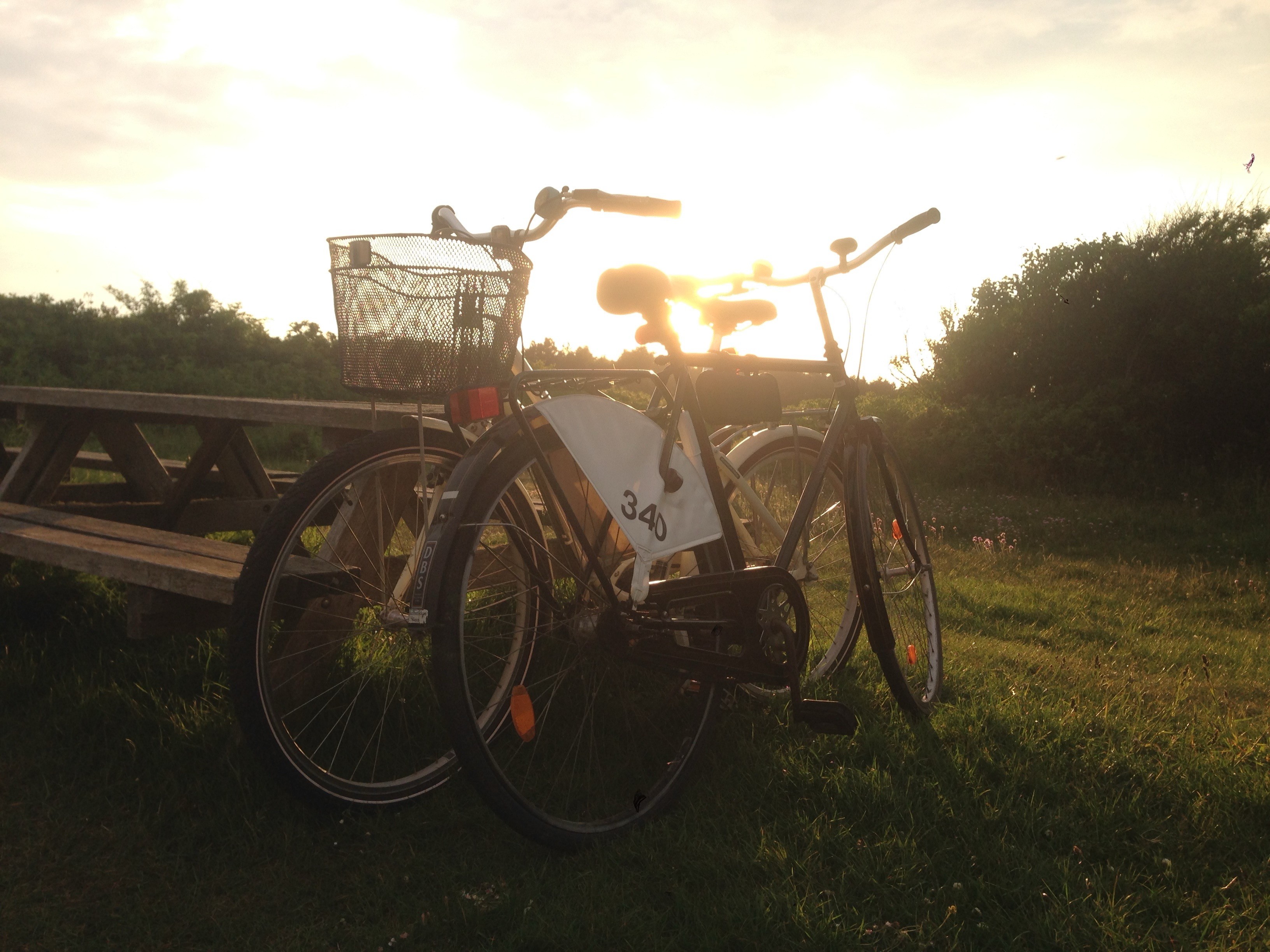 An einem Picknick-Platz mit Tisch und Bänken lehnen zwei Fahrräder. 