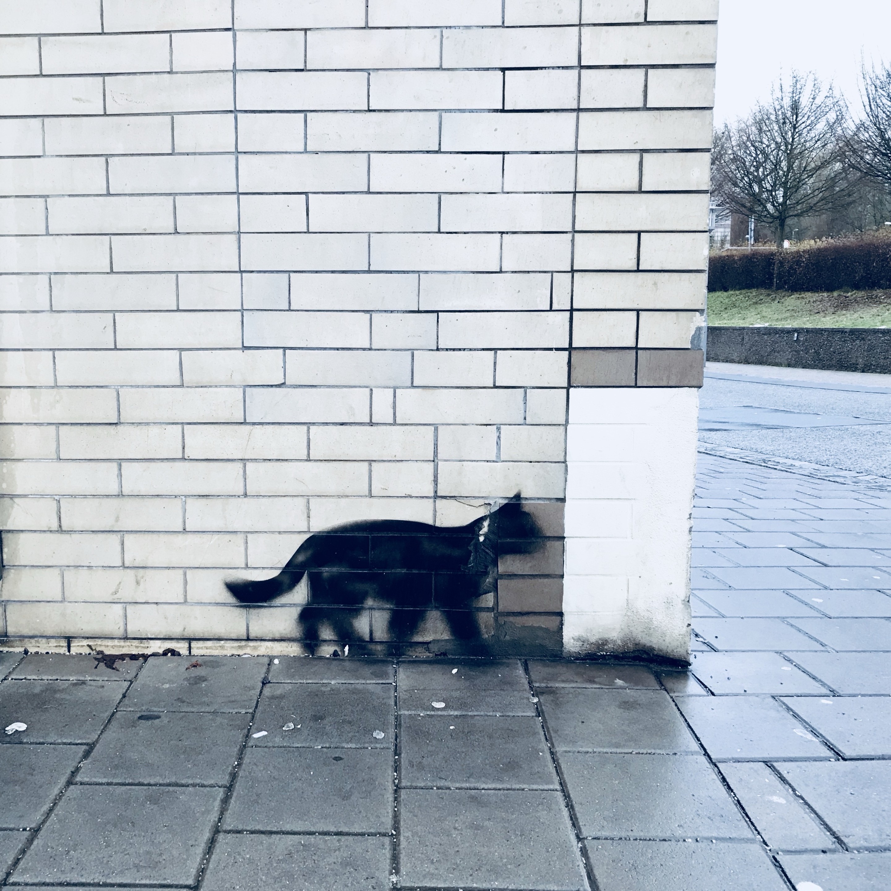Eine Graffiti Katze scheint auf eine Hausecke zu zulaufen. Eine Graffiti Katze scheint auf eine Hausecke zu zulaufen.