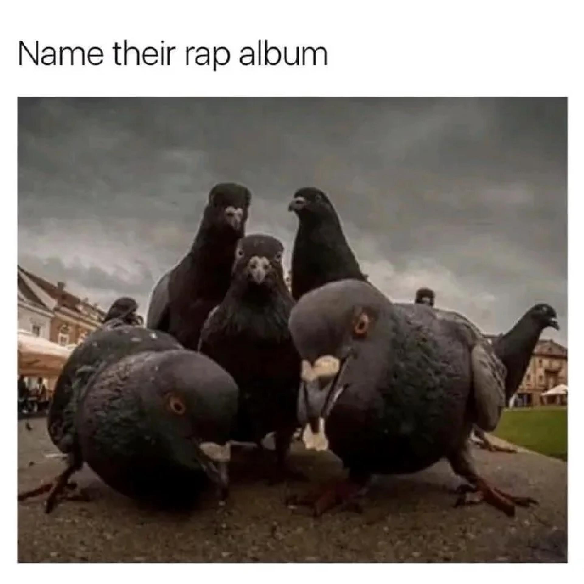 Posted media