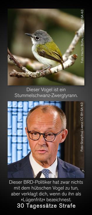 Foto eines exotischen Vogels. Darunter der Text: »Dieser Vogel ist ein Stummelschwanz-Zwergtyrann«. Foto von Bundeskanzler Friedrich Merz. Darunter der Text: »Dieser BRD-Politiker hat zwar nichts mit dem hübschen Vogel zu tun, aber verklagt dich, wenn du ihn als ›Lügenfritz‹ bezeichnest. 30 Tagessätze Strafe«. 